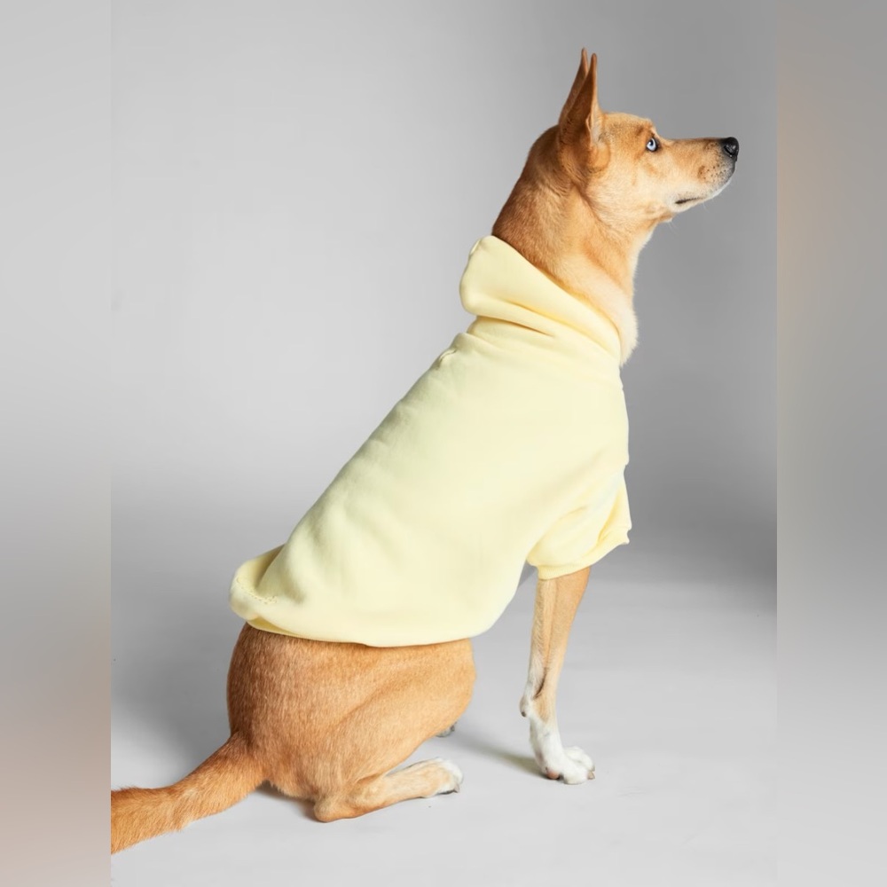 Comfrt Minimalist Paw Hoodie In Buttercream - Picture 4 of 6